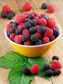 新鲜水果高清图片 美味视觉盛宴与免费资源获取指南